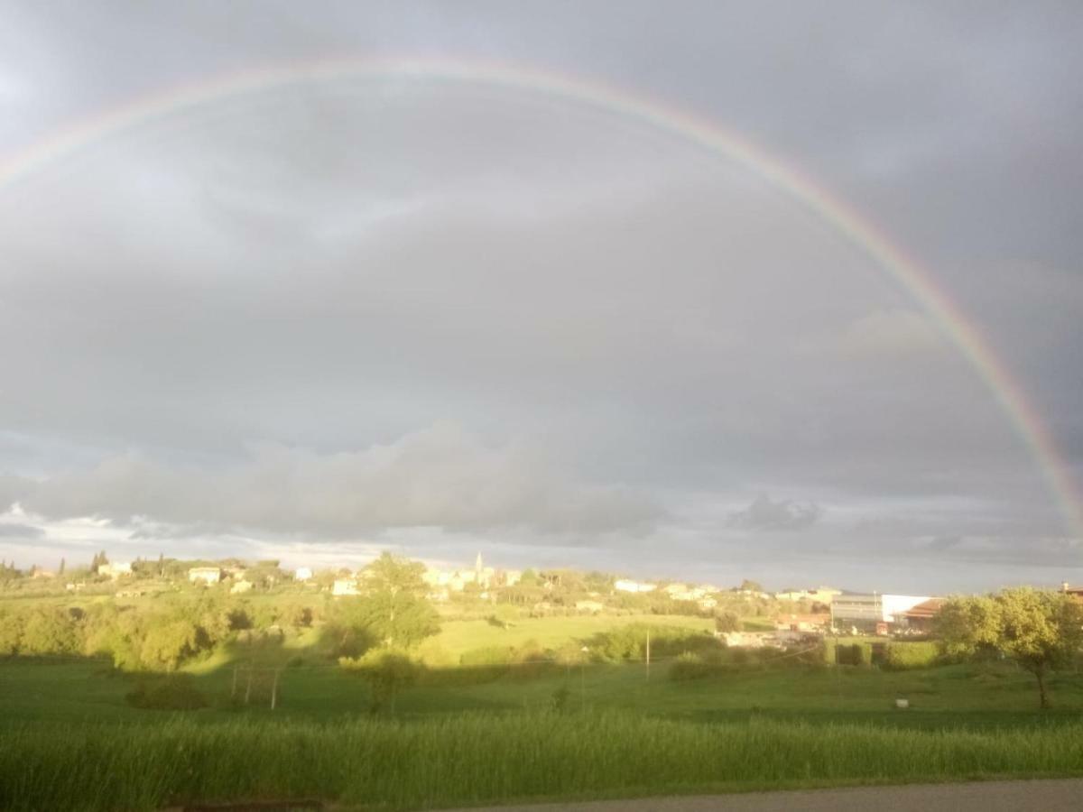Agriturismo Colle Al Sole Leilighet Castiglione del Lago Eksteriør bilde
