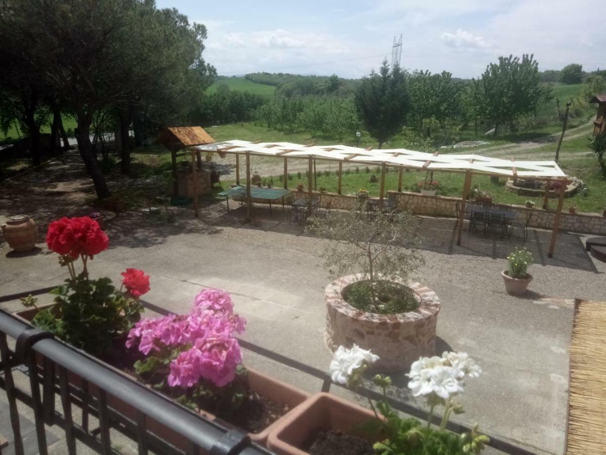 Agriturismo Colle Al Sole Leilighet Castiglione del Lago Eksteriør bilde