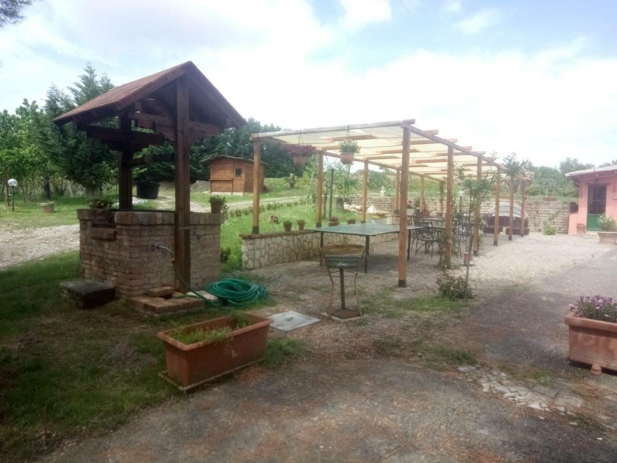Agriturismo Colle Al Sole Leilighet Castiglione del Lago Eksteriør bilde