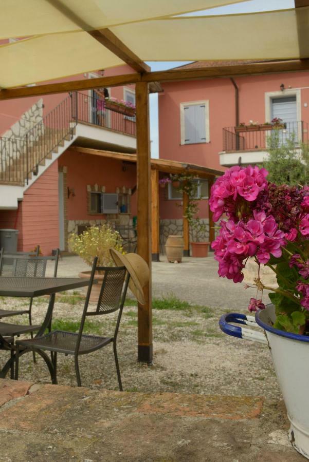 Agriturismo Colle Al Sole Leilighet Castiglione del Lago Eksteriør bilde
